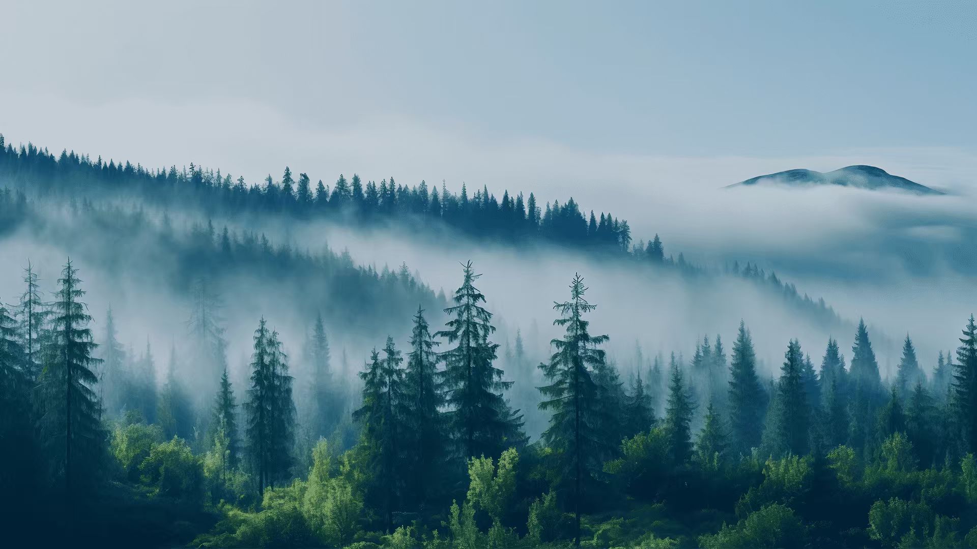 Green Product Certification​