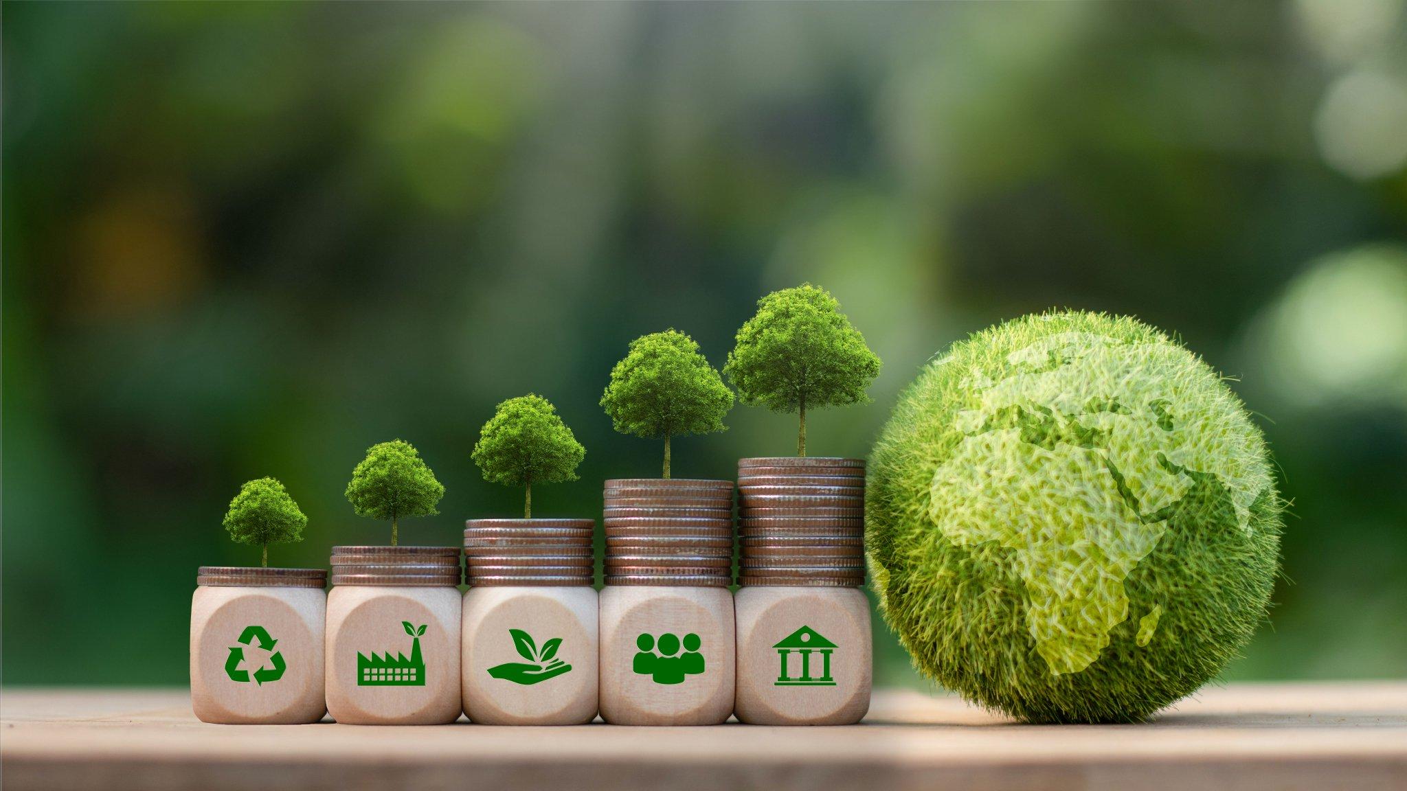 Carbon Neutrality & Footprint​